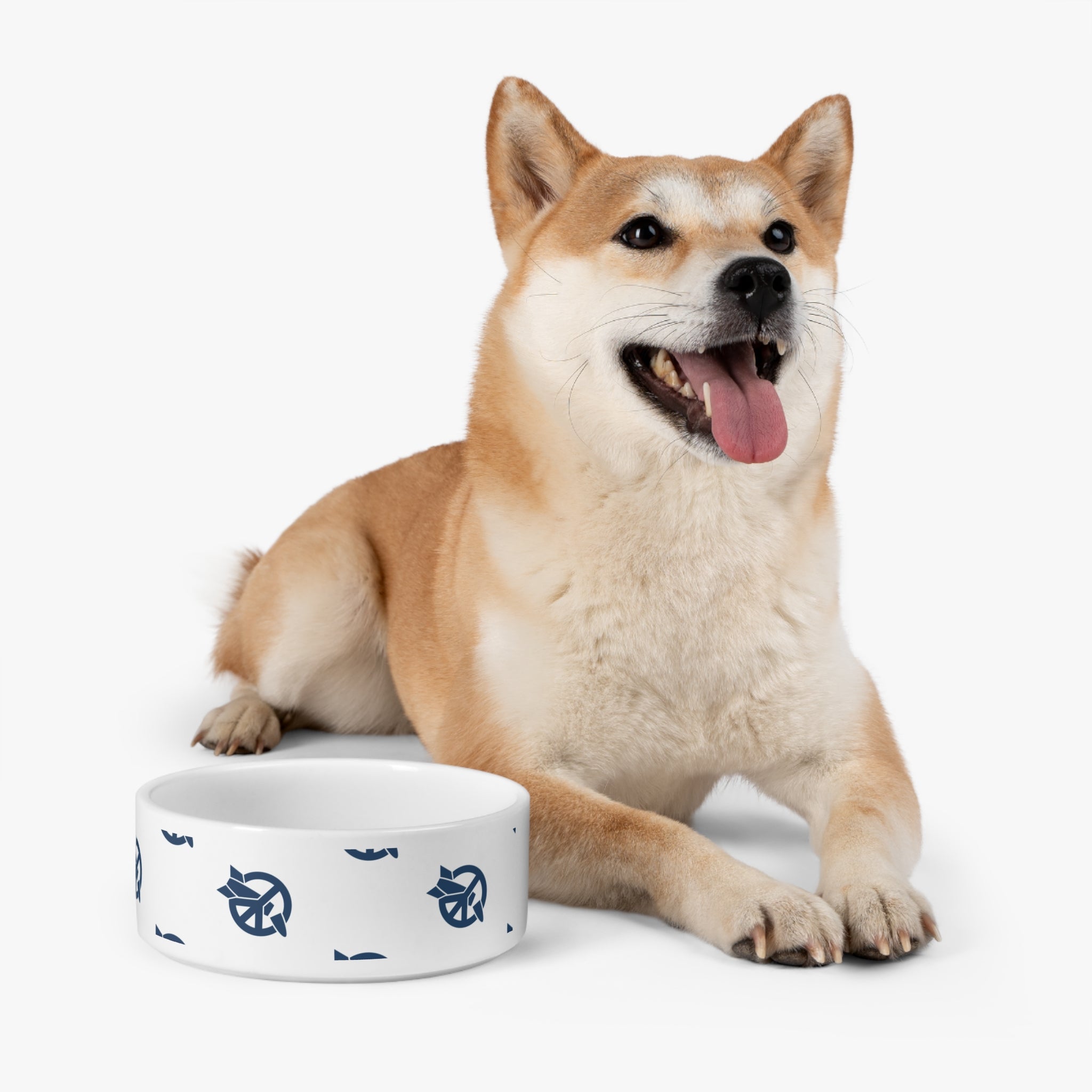 ICAN Pet Bowl for Dogs and Cats