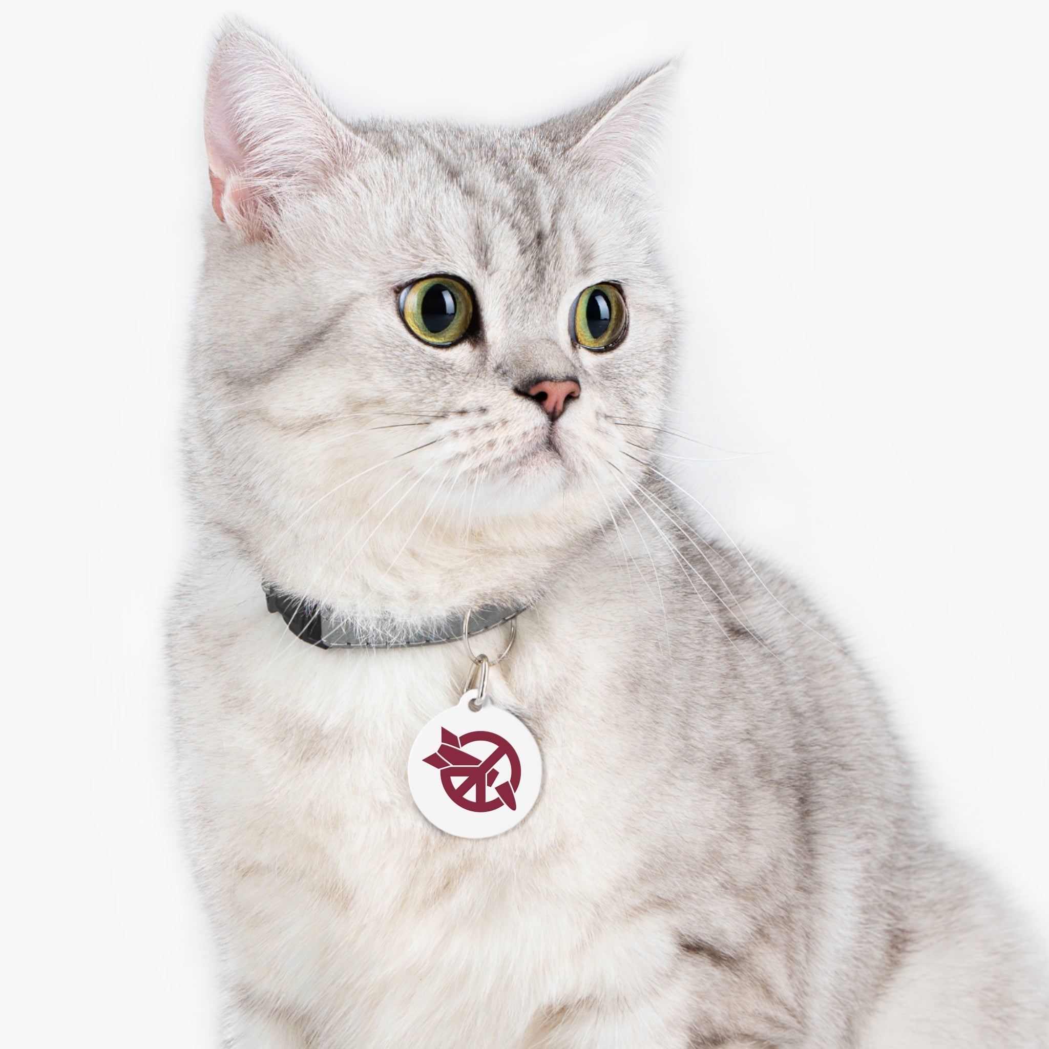 ICAN Pet Tag