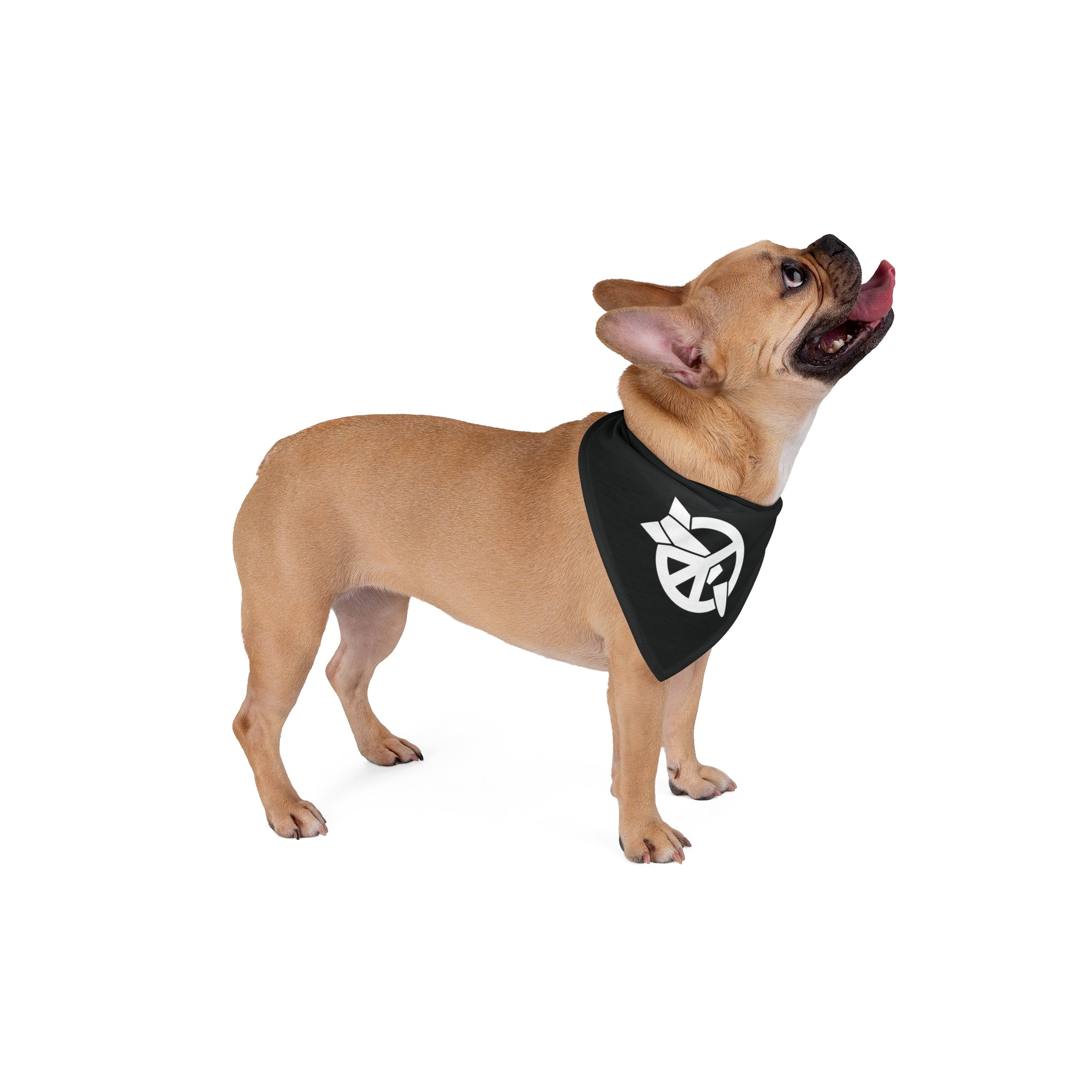 ICAN Pet Bandana