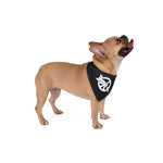 Load image into Gallery viewer, ICAN Pet Bandana
