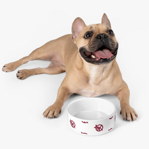 ICAN Pet Bowl for Dogs and Cats