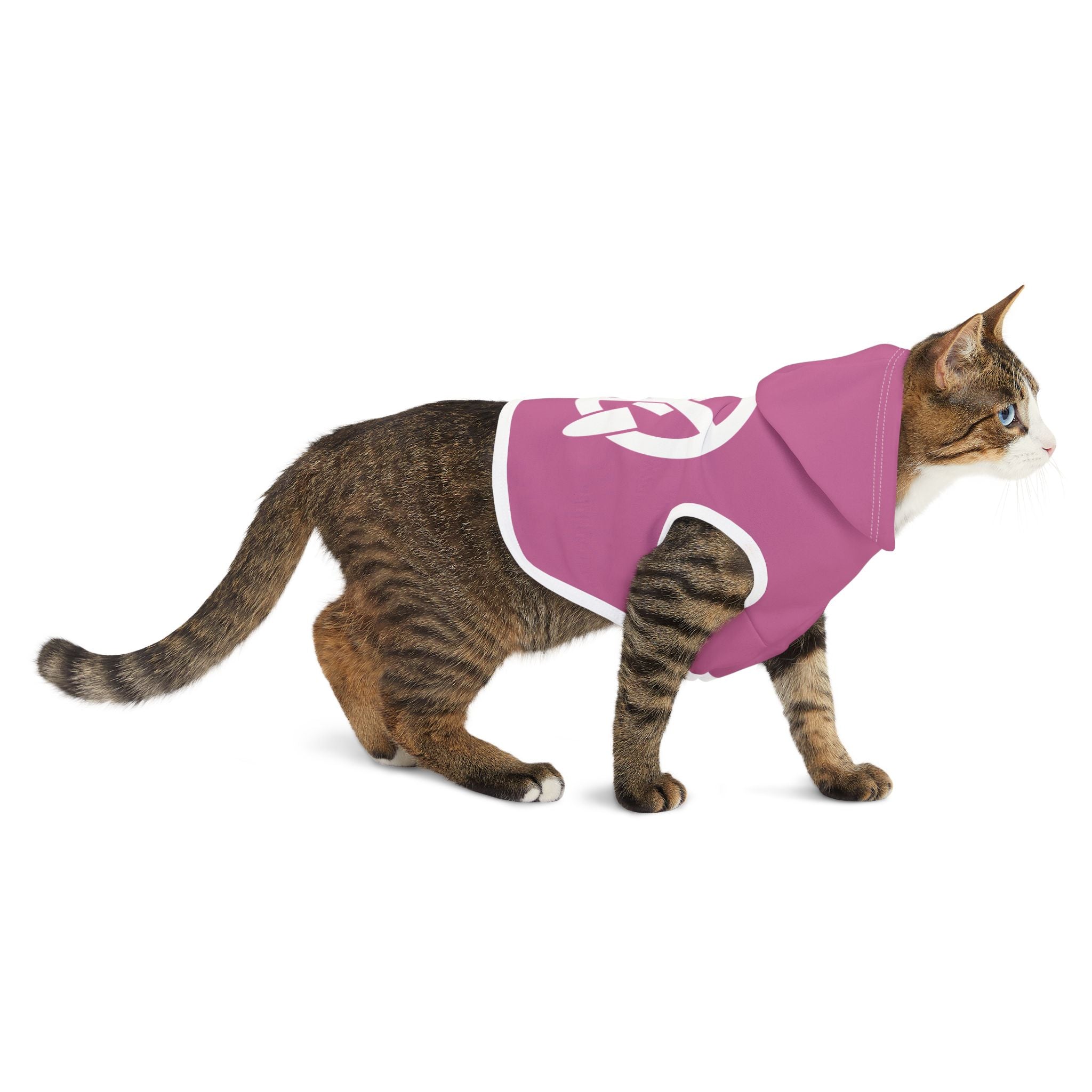 ICAN Pet Hoodie