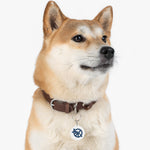 Load image into Gallery viewer, ICAN Pet Tag
