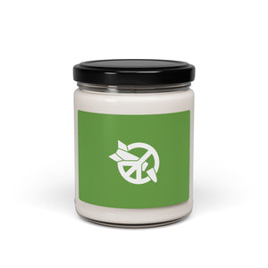 Scented Soy Candle - Eco-Friendly