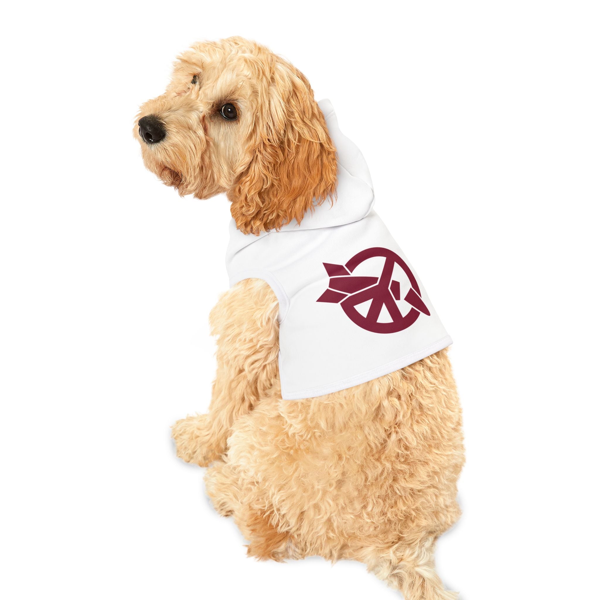 ICAN Pet Hoodie